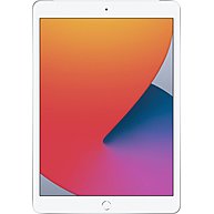 Máy Tính Bảng Apple iPad 2020 8th-Gen 128GB 10.2-Inch Wifi Cellular Silver (MYMM2ZA/A)